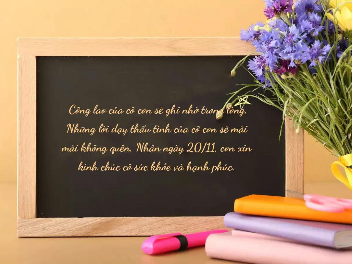 Lời chúc 20/11 dành cho học sinh sinh viên